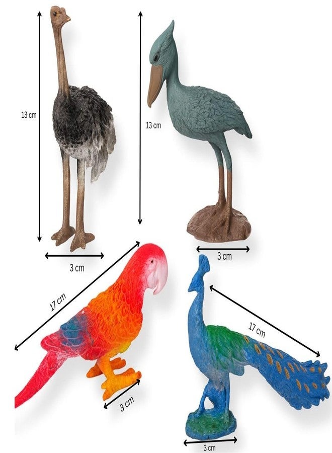 DTR Creation 4 Pcs Bird Figurine Set - Ostrich, Shoebill, Parrot & Peacock | Realistic Animal Bird Toys for Kids, Collectors & Home Décor | Durable Plastic Educational Toy Figures - Image 5